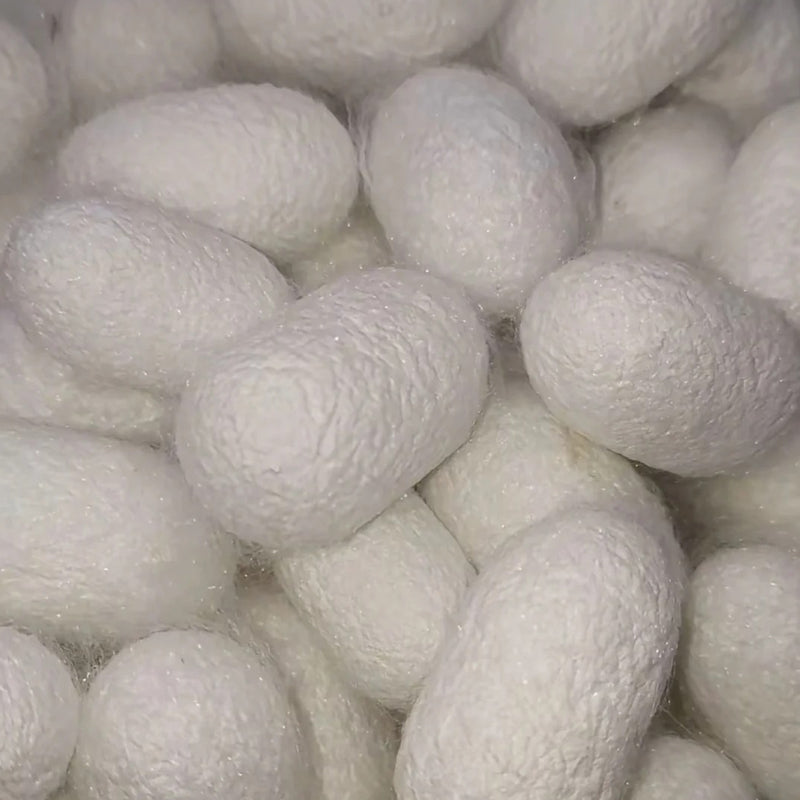 Shu Brocade Mulberry Silk Tie