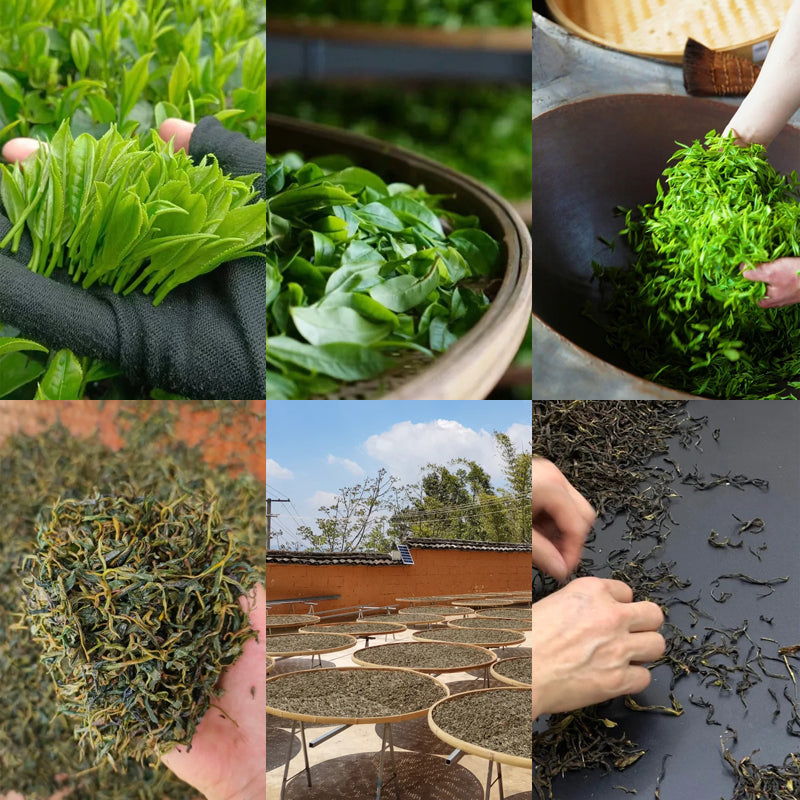 A Detailed Explanation of the Tea-making Process โ Hansculture