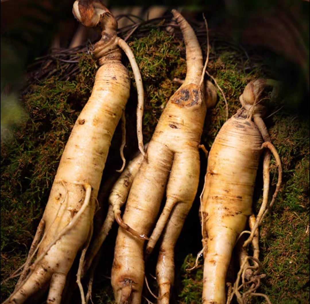 2-3CM Extra Large Changbai Mountain Ginseng Slices, sourced from the authentic Changbai Mountain origin—the famous "hometown of ginseng" in Northeast China-100g