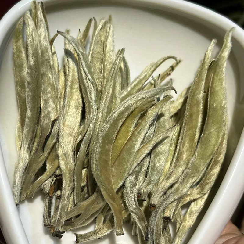 White hair silver needle tea