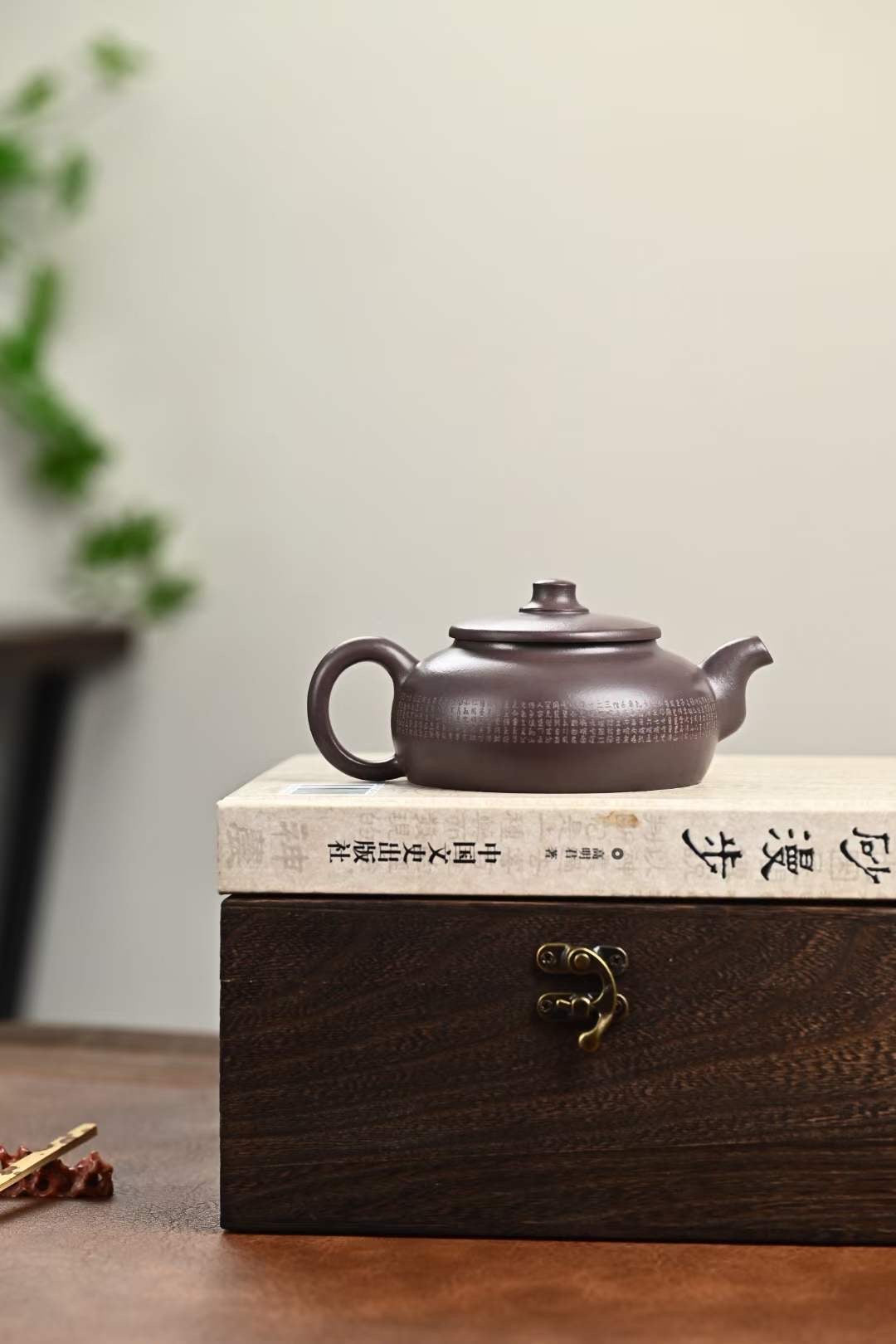 Zisha Teapot New Moon 220cc