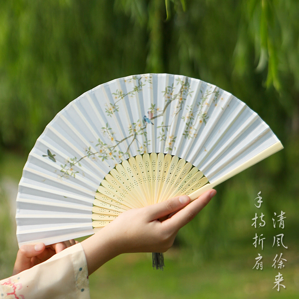 Chinese Style Women’s Fans